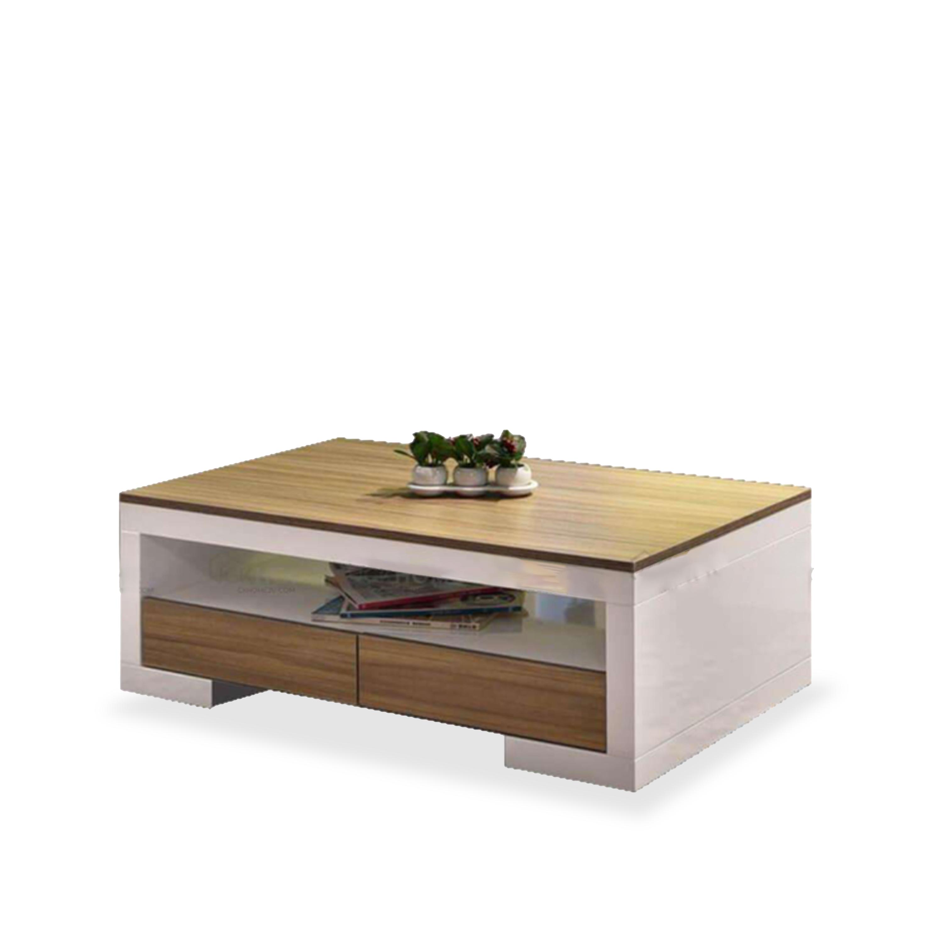 Havanna Series High Gloss Coffee Table 98