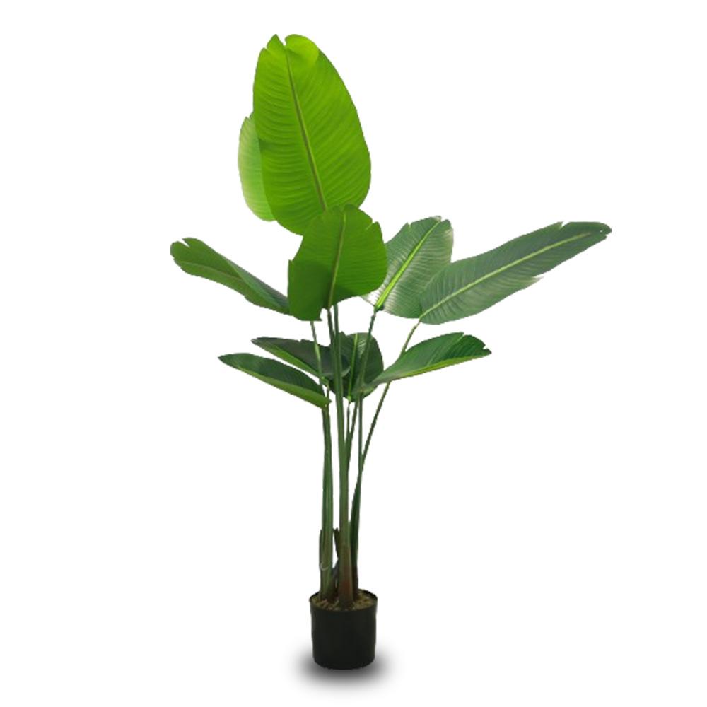 Bird of Paradise 1.6m - DP114