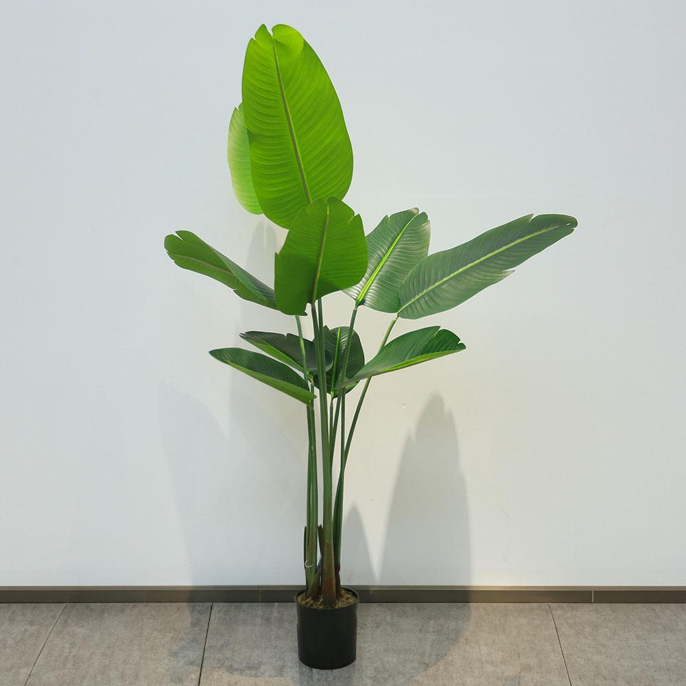 Bird of Paradise 1.6m - DP114